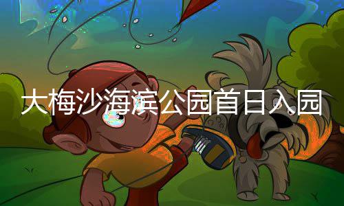 滨公日入万人大梅沙海园首园超次